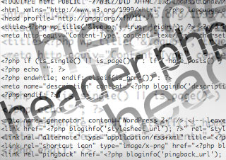Look out for this bug in your WordPress theme header.php file and meta tags, increase SEO of your CMS templates