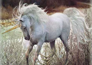 HTML5 demystified, no longer a mythical white Unicorn