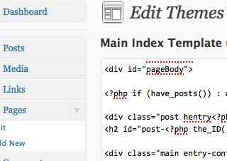 Wordpress interface screengrab demonstrates it's CMS power