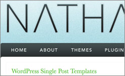 Nathan Rice discusses alternate custom single.php templates