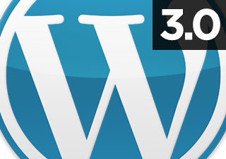 Exploring WordPress 3.0 and development issues raise questions about this important version update